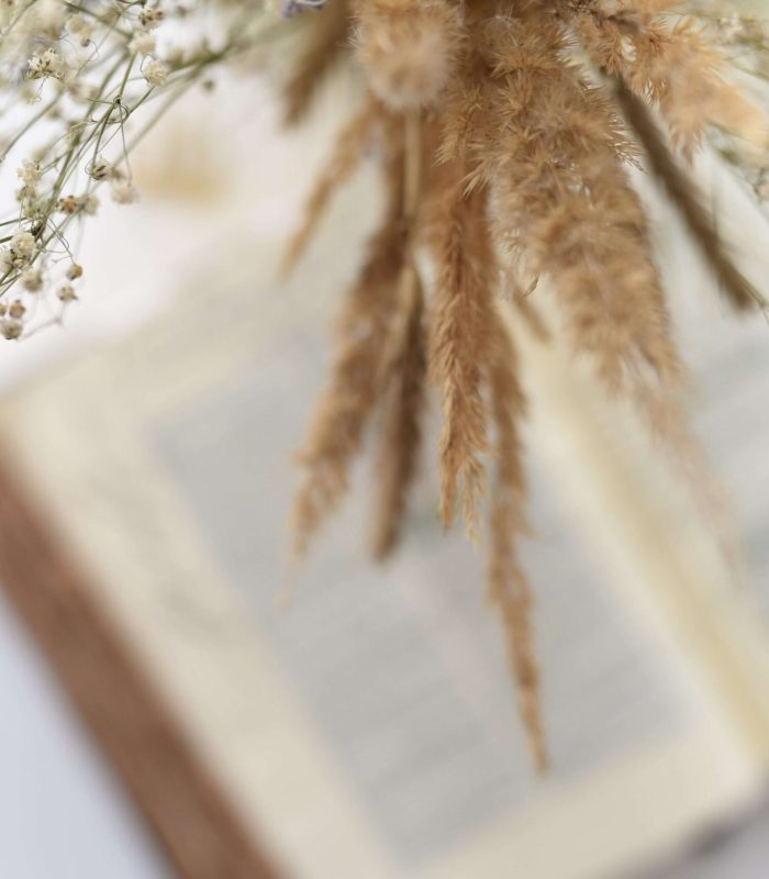 bible_flowers